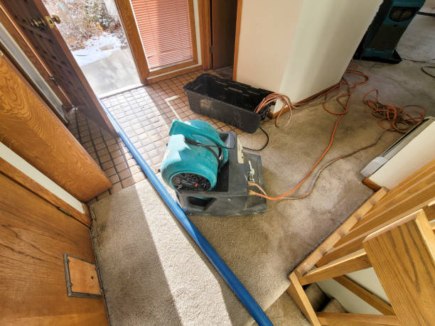 Best Local water damage restoration  in Richwood, NJ