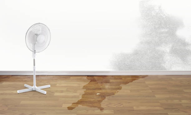 Best Commercial water damage restoration  in Richwood, NJ
