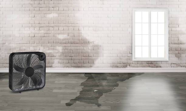 Best Ceiling water damage repair  in Richwood, NJ