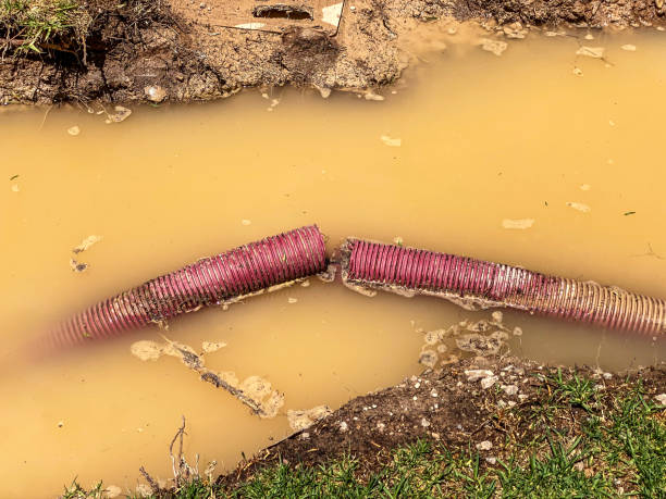 Best Water damage cleanup near me  in Richwood, NJ