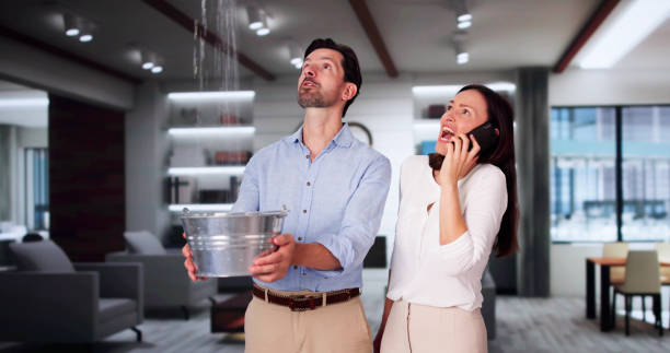 Best Flooded house restoration  in Richwood, NJ